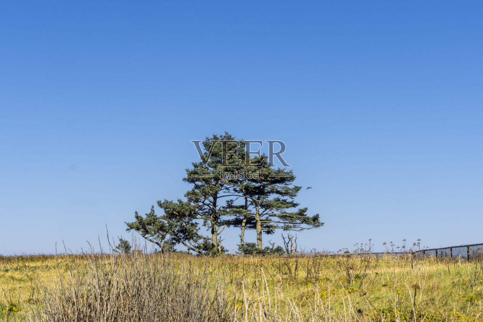 亚奎纳岬灯塔照片摄影图片