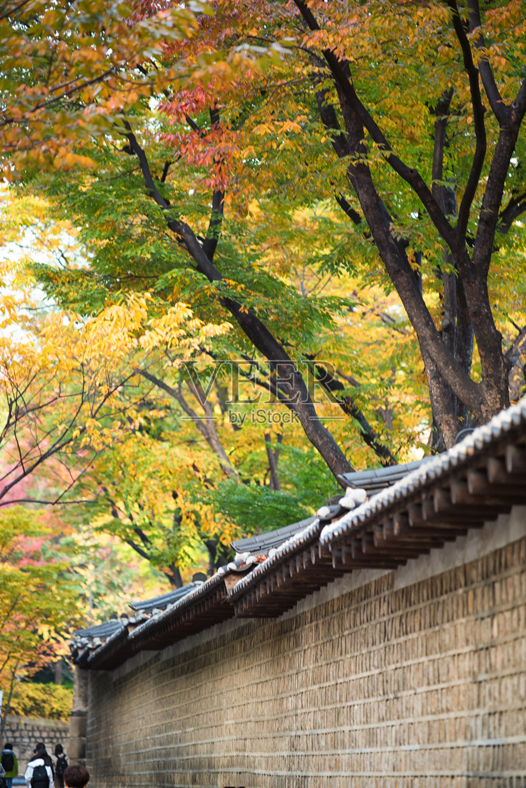 传统的韩国石墙小径照片摄影图片