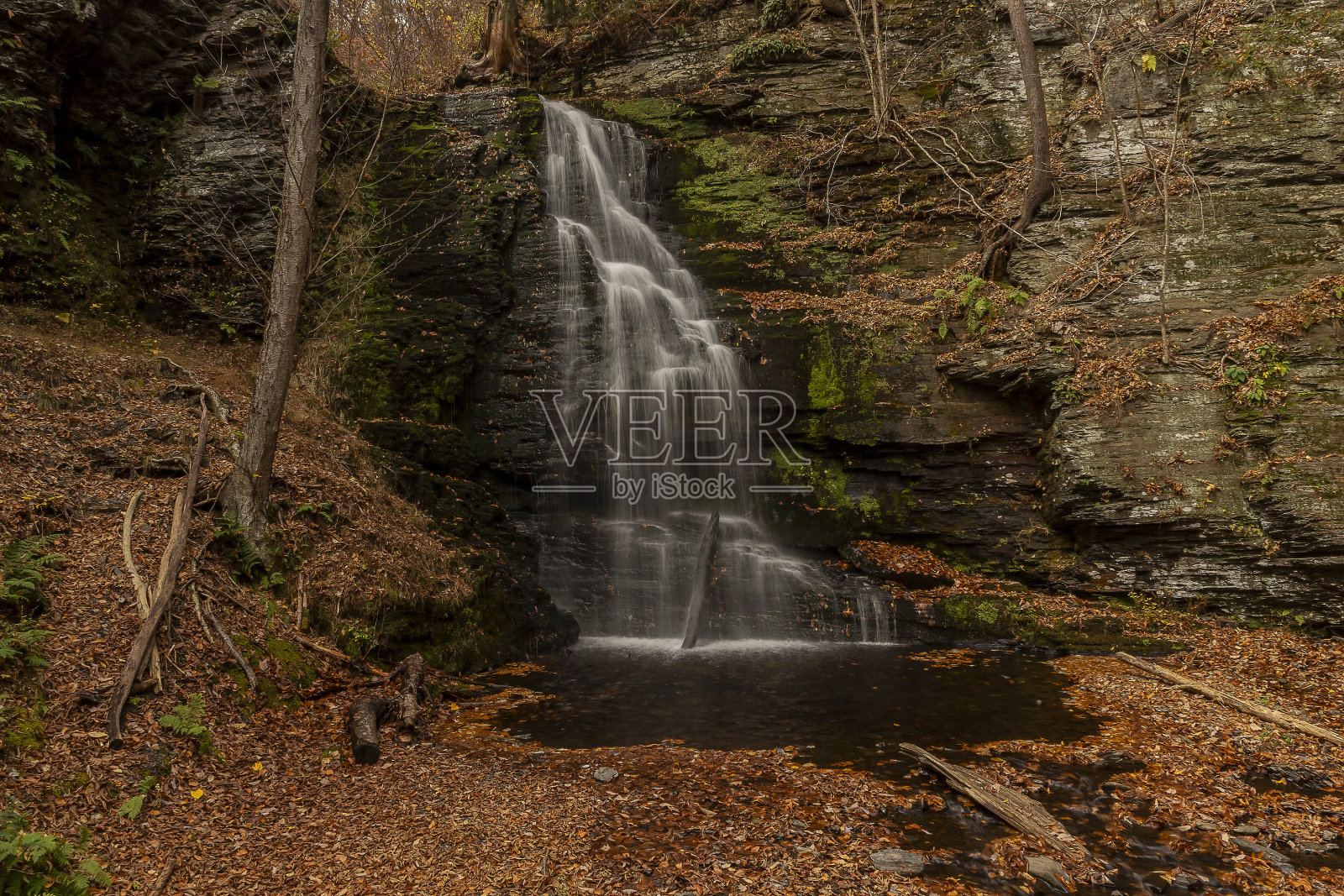 新娘面纱瀑布从悬崖上倾泻而下，位于宾夕法尼亚州的布什基尔瀑布照片摄影图片
