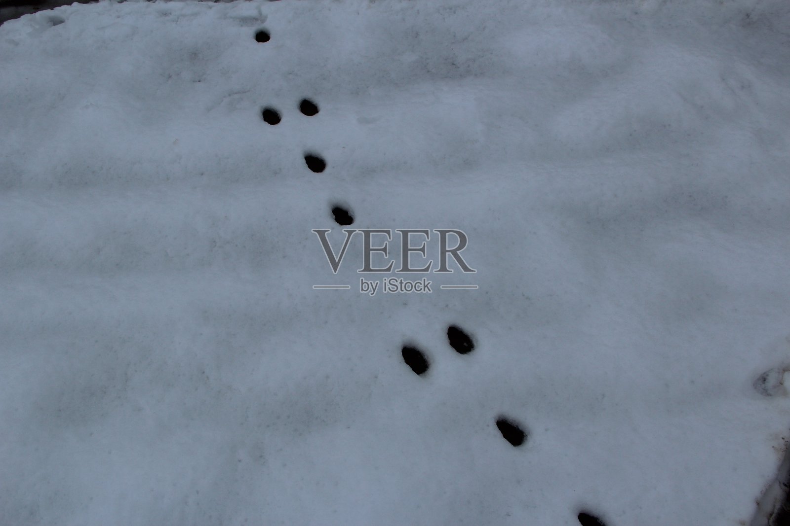 在雪地上留下脚印照片摄影图片