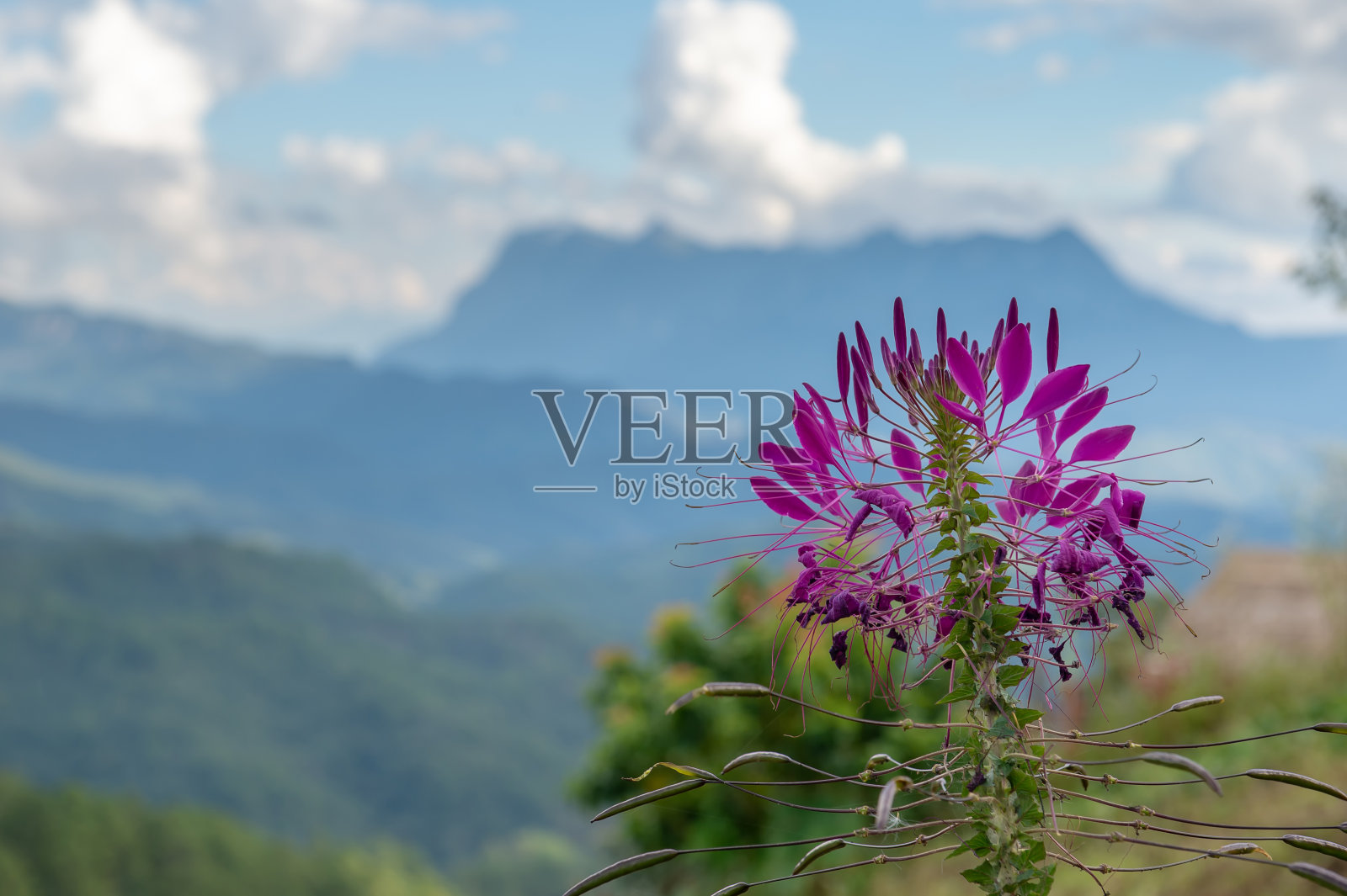 景观和天空背景照片摄影图片
