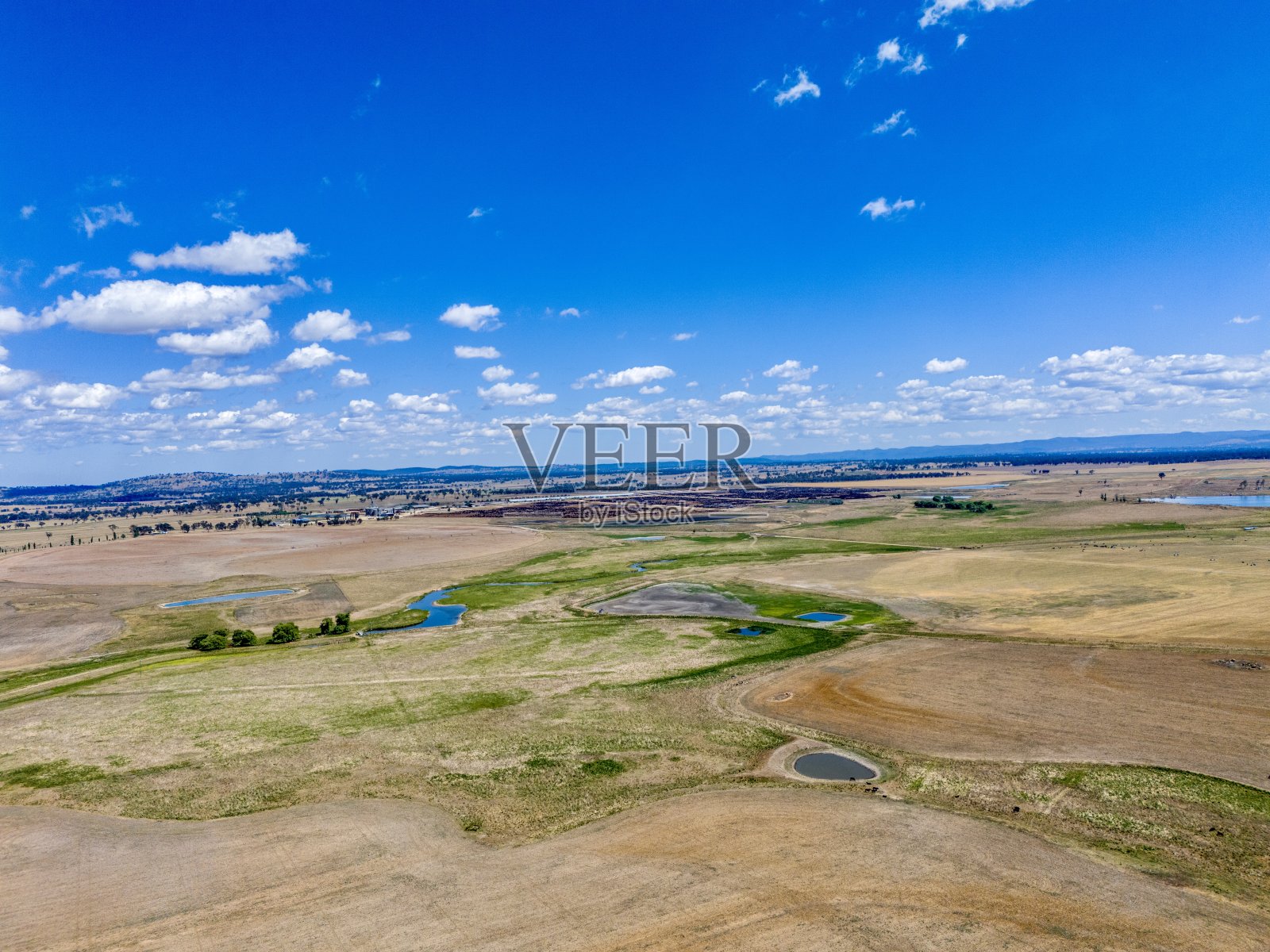 游骑兵谷饲养场，澳大利亚照片摄影图片