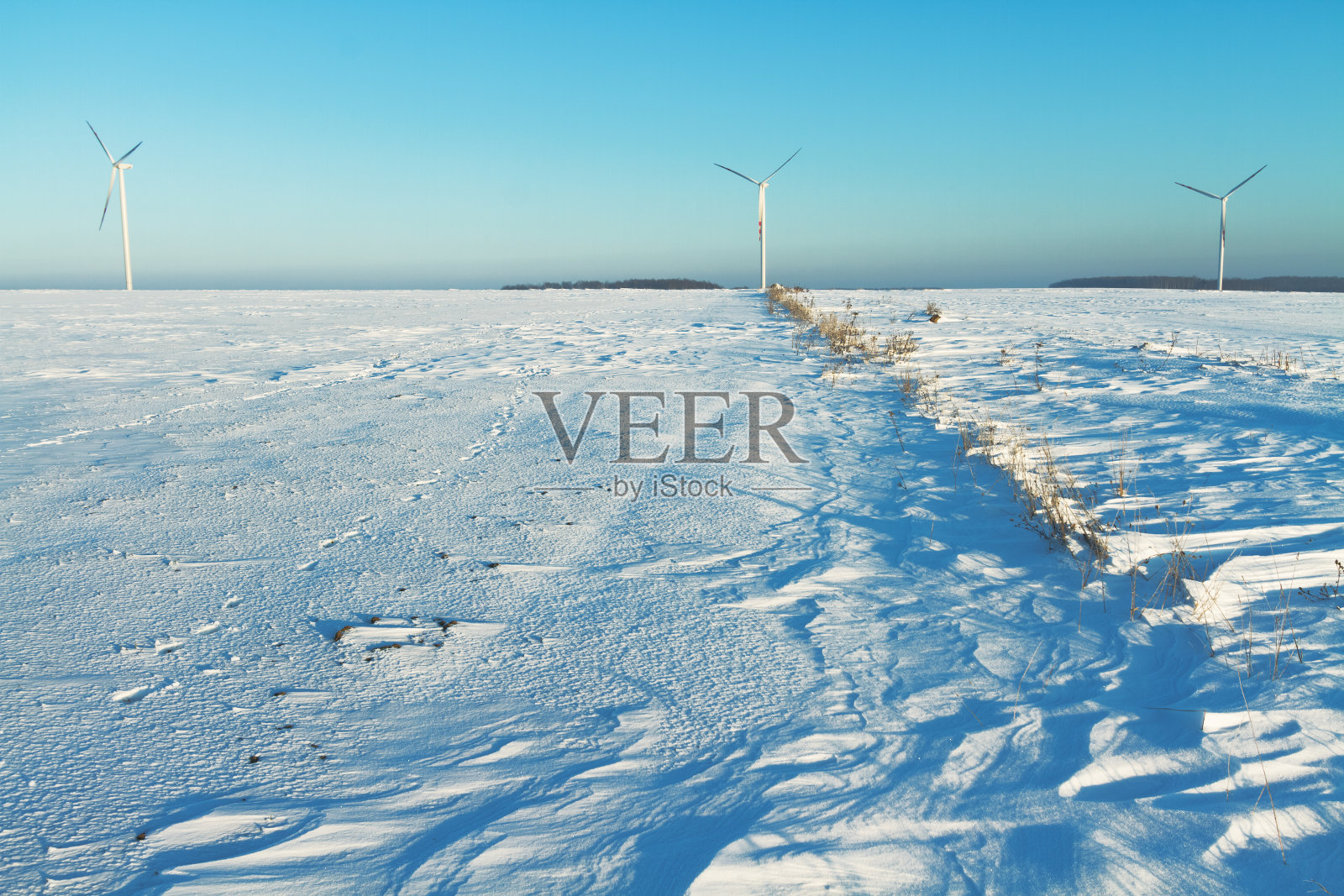 风景——田野上孤独的树木，冬天的时候。天空蔚蓝，地上雪波兰欧洲照片摄影图片