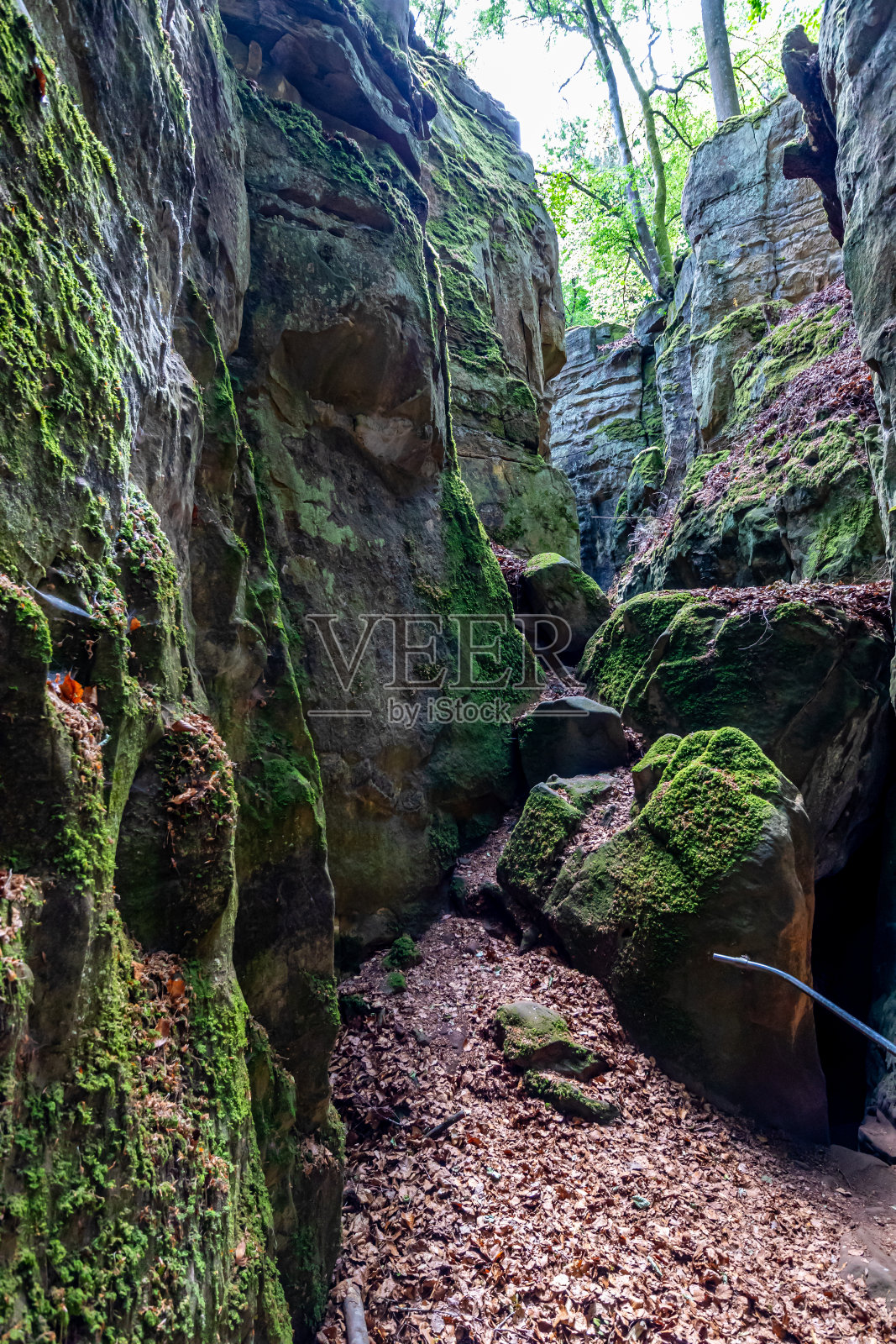岩坡沟槽之间的苔藓覆盖的墙壁侵蚀岩层照片摄影图片