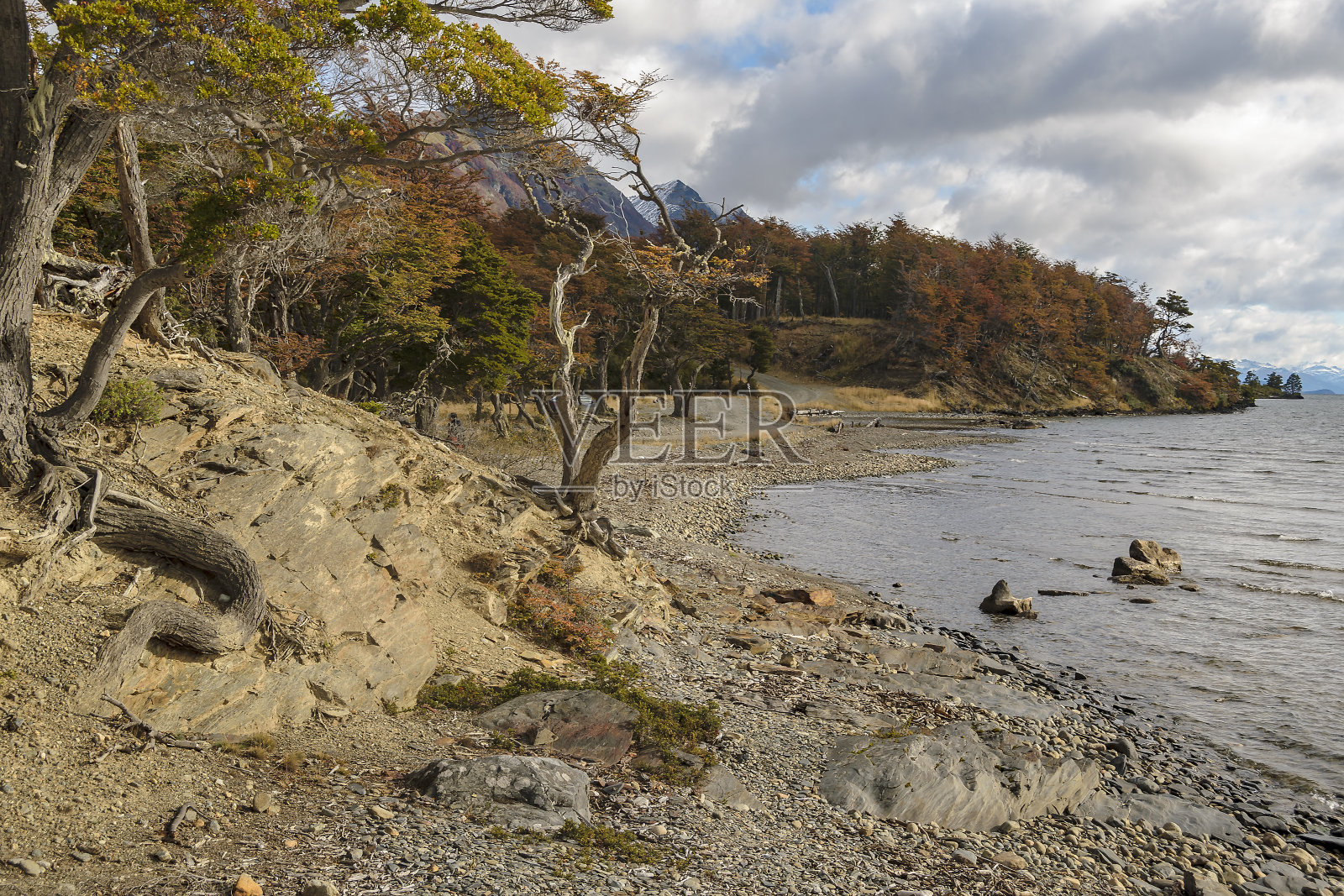 托里托湾，火地岛，阿根廷照片摄影图片