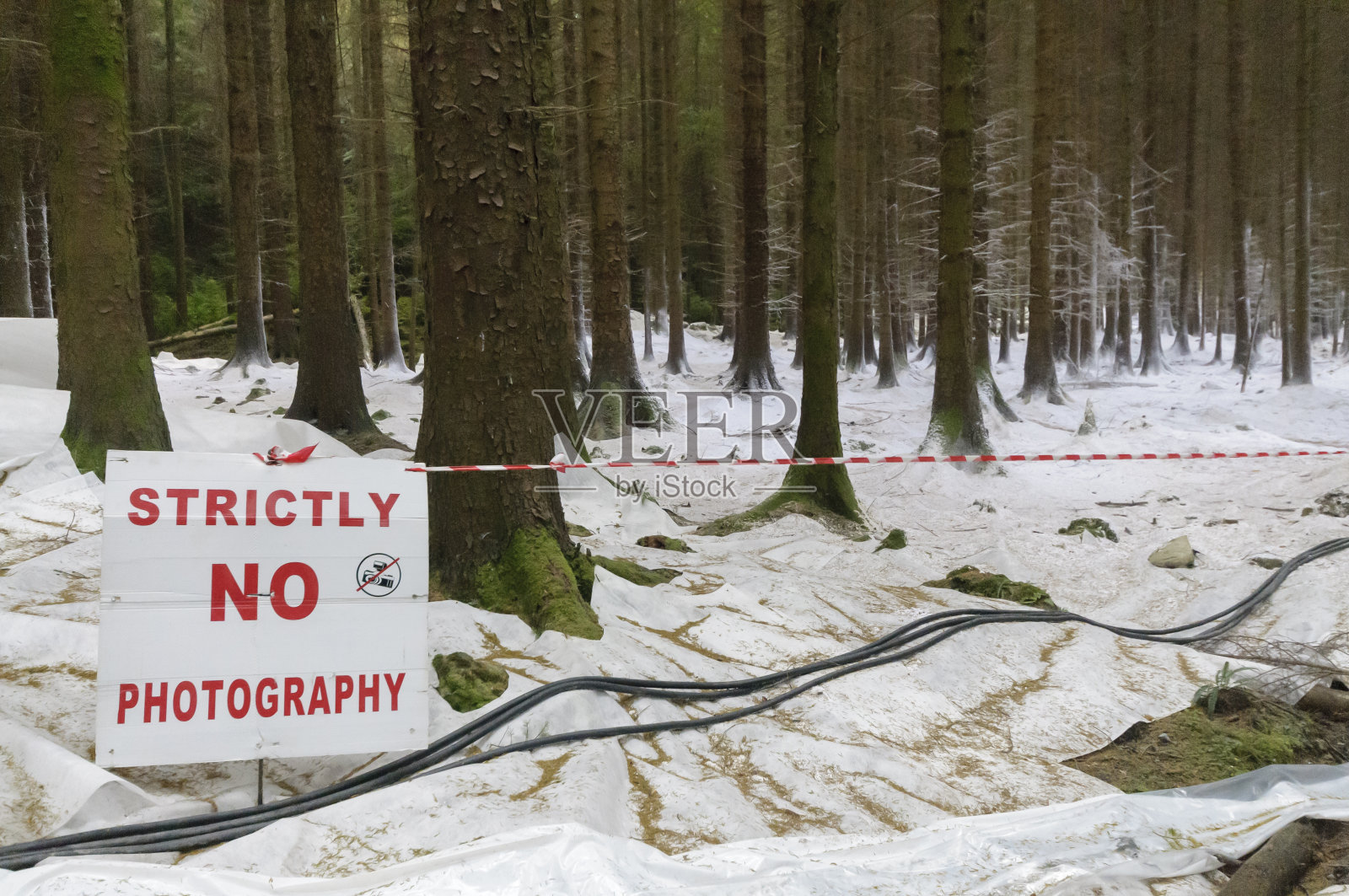 为了拍摄一部电影，北爱尔兰的公共森林覆盖着假雪，上面写着“严格禁止摄影”(没有法律强制执行)。照片摄影图片