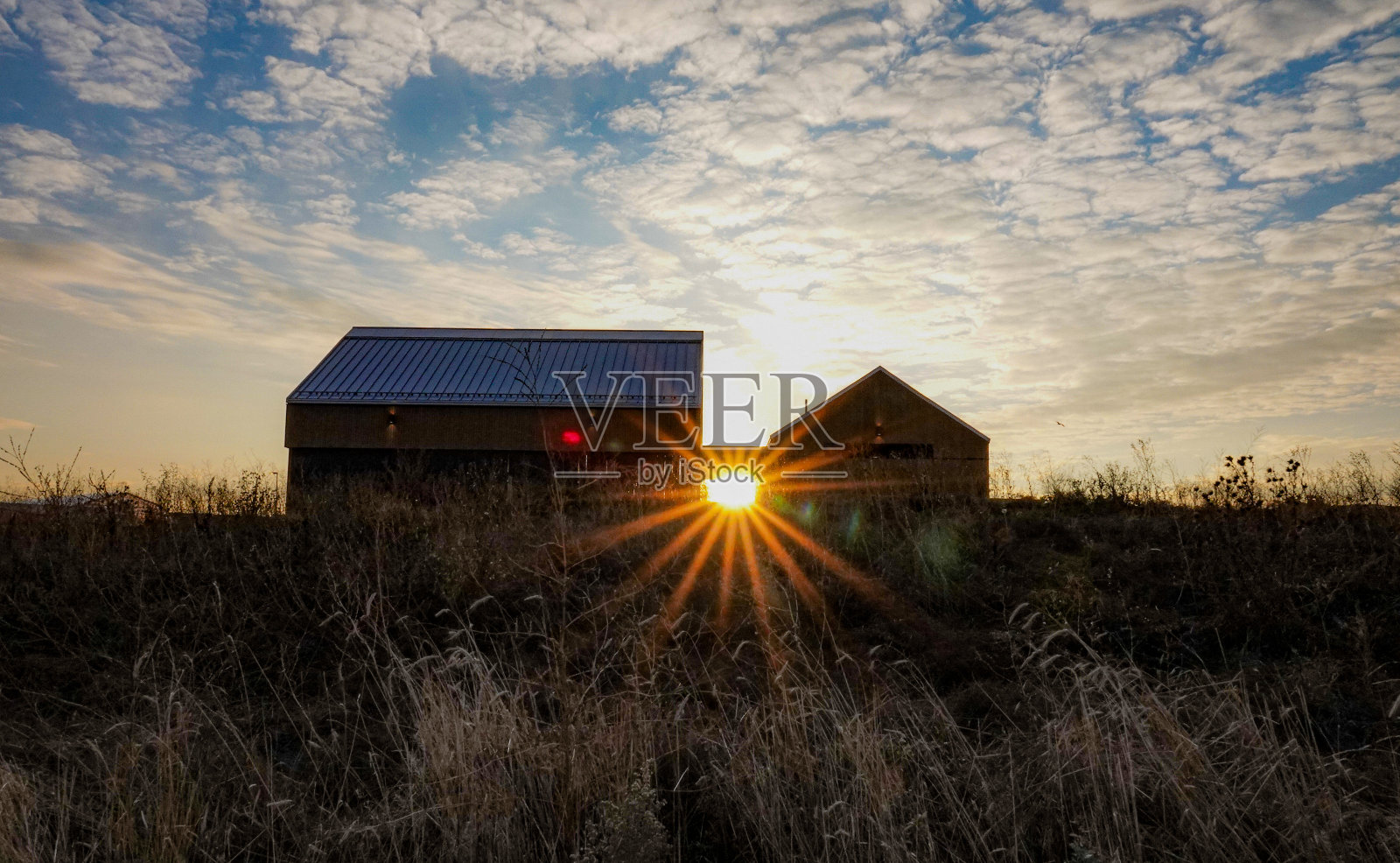 日出照片摄影图片