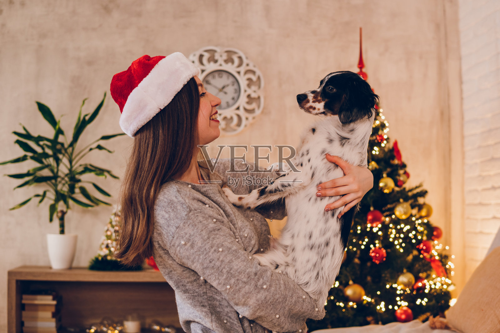 一位年轻女子带着狗在家里过圣诞节照片摄影图片