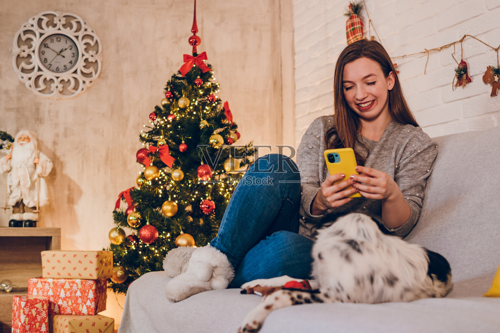 一位年轻女子带着一只狗在家里享受新年假期。照片摄影图片