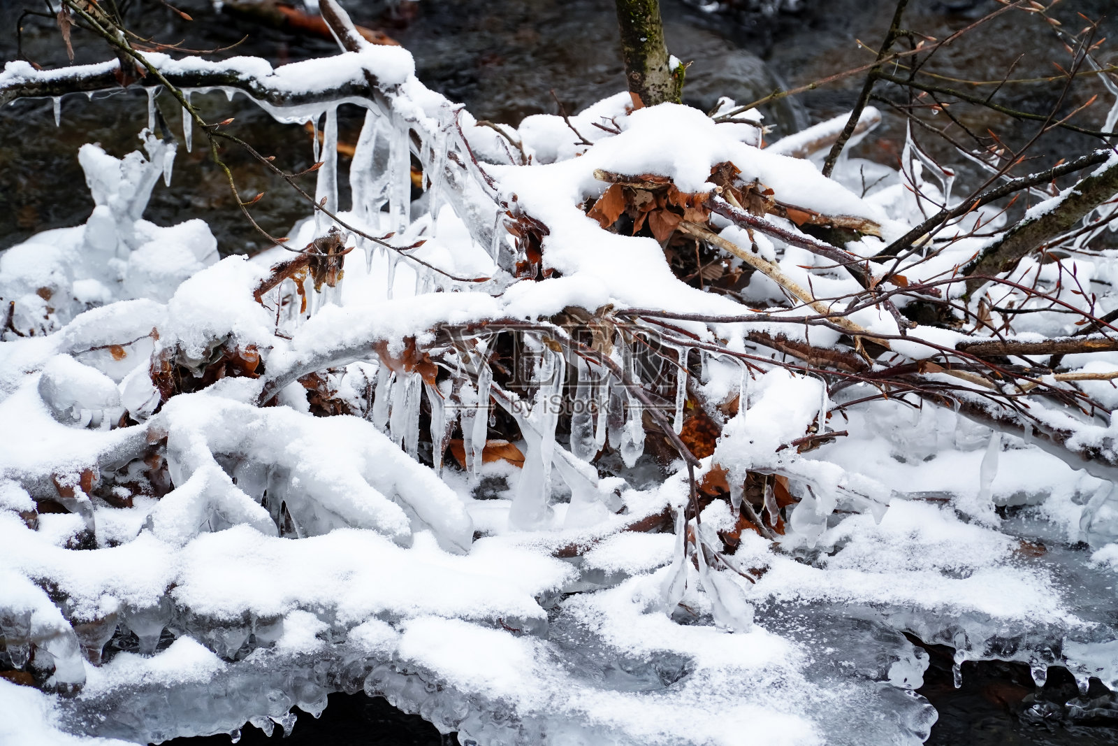 冰雕、冰树、冰釉树枝、冰柱冻水、冰纹、冬季景观照片摄影图片