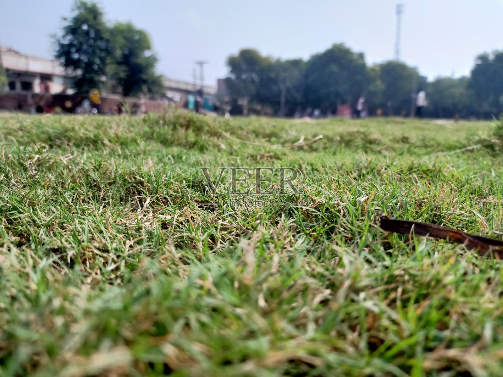 绿草地-库存照片照片摄影图片