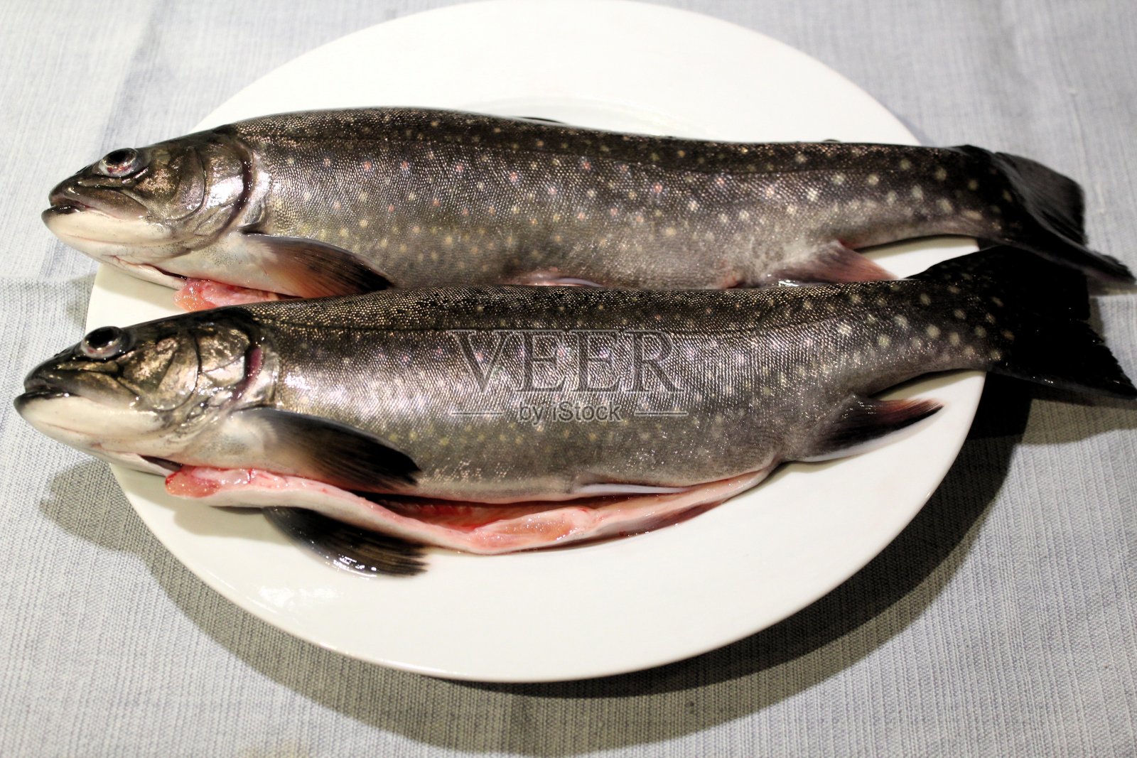 白盘子里刚捞上来的炭肉。盘子放在厨房的茶巾上。

鲑属(Salvelinus)是鲑科淡水鱼的一个属。照片摄影图片