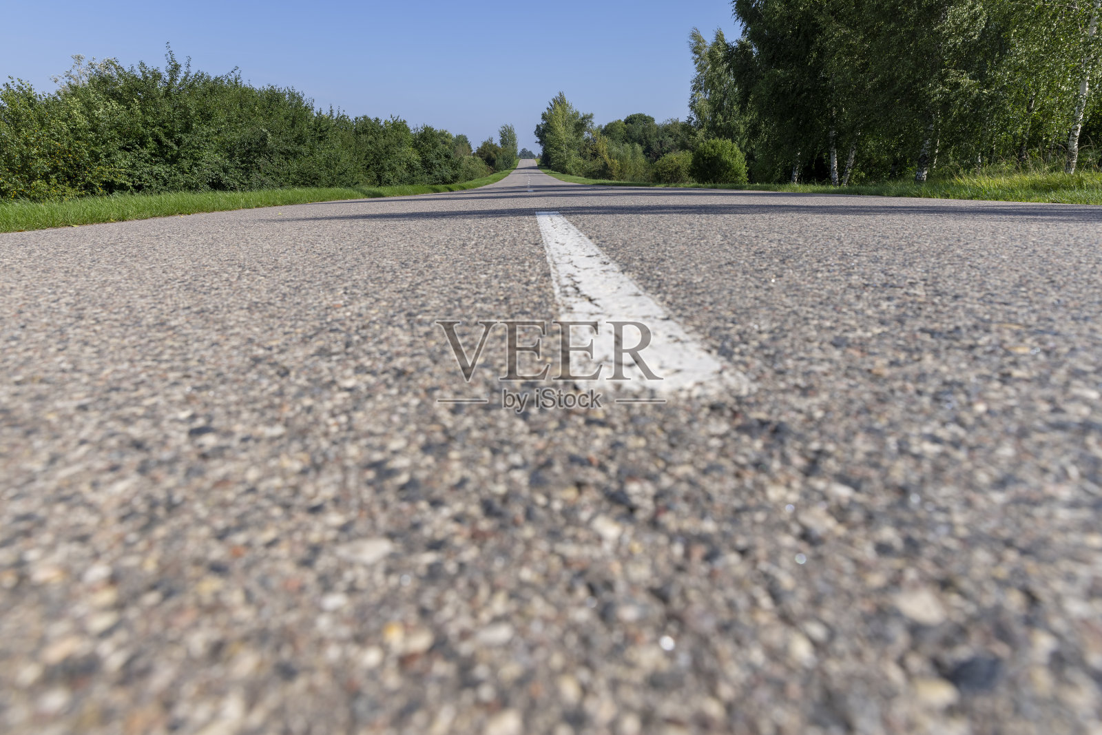 夏天在森林里铺的老路照片摄影图片