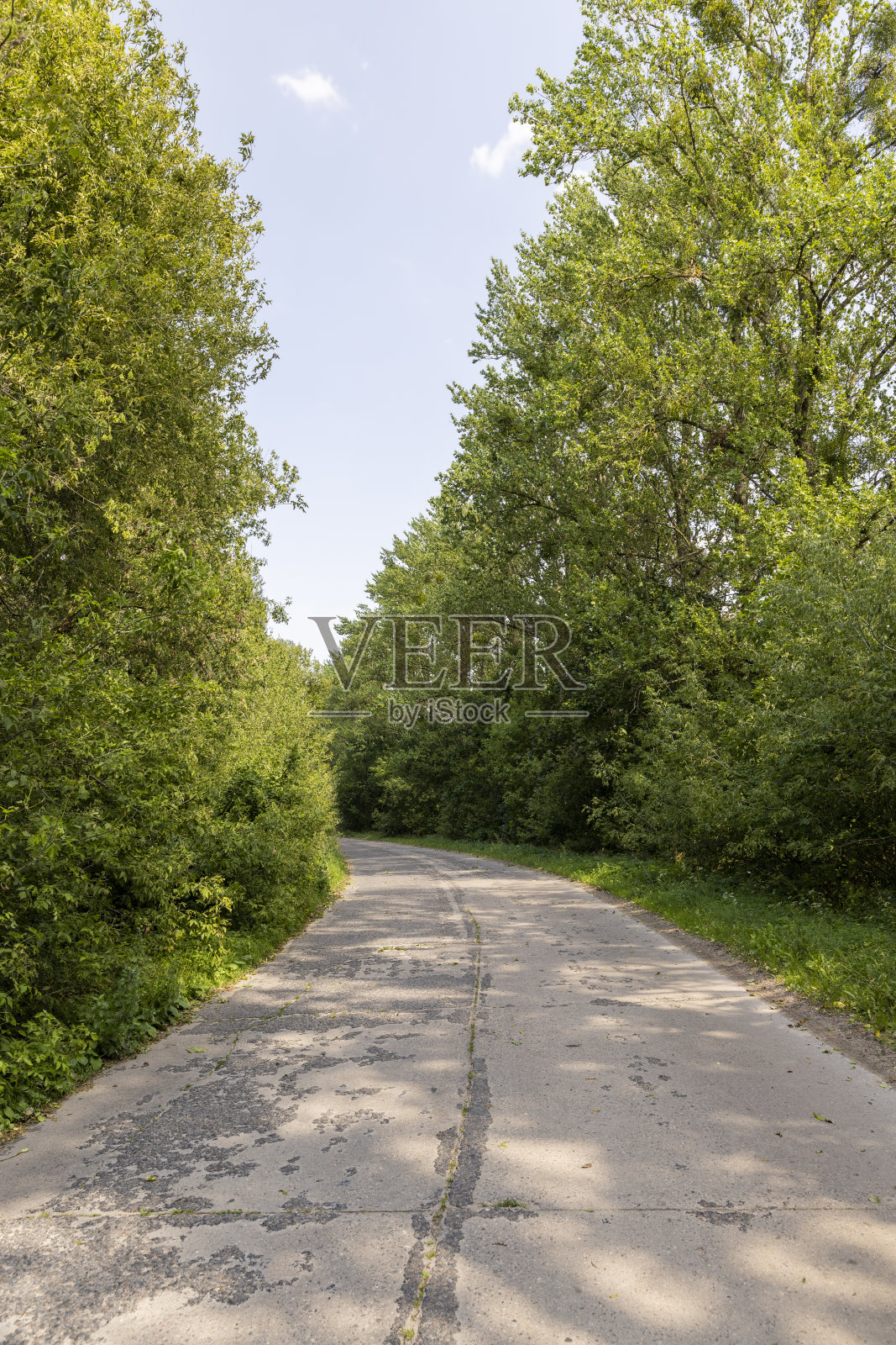 夏天在森林里铺的老路照片摄影图片