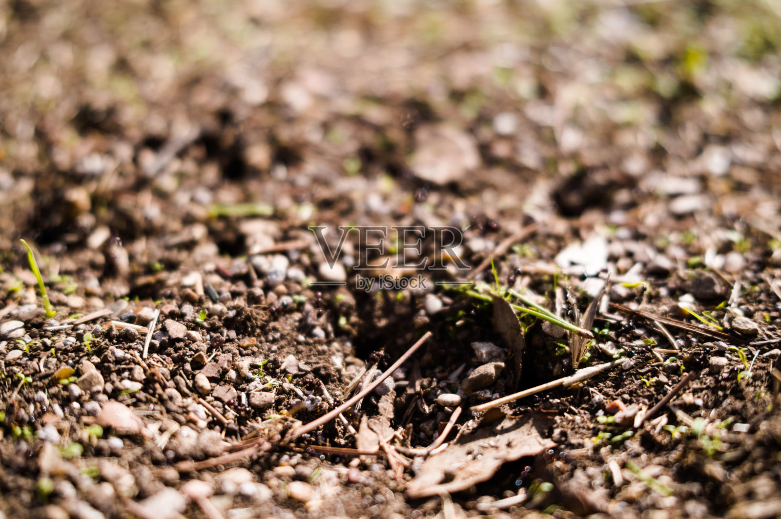 蚁丘入口照片摄影图片