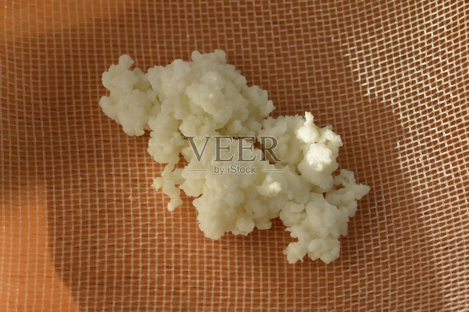 过滤器中的开菲尔颗粒，俯视图照片摄影图片