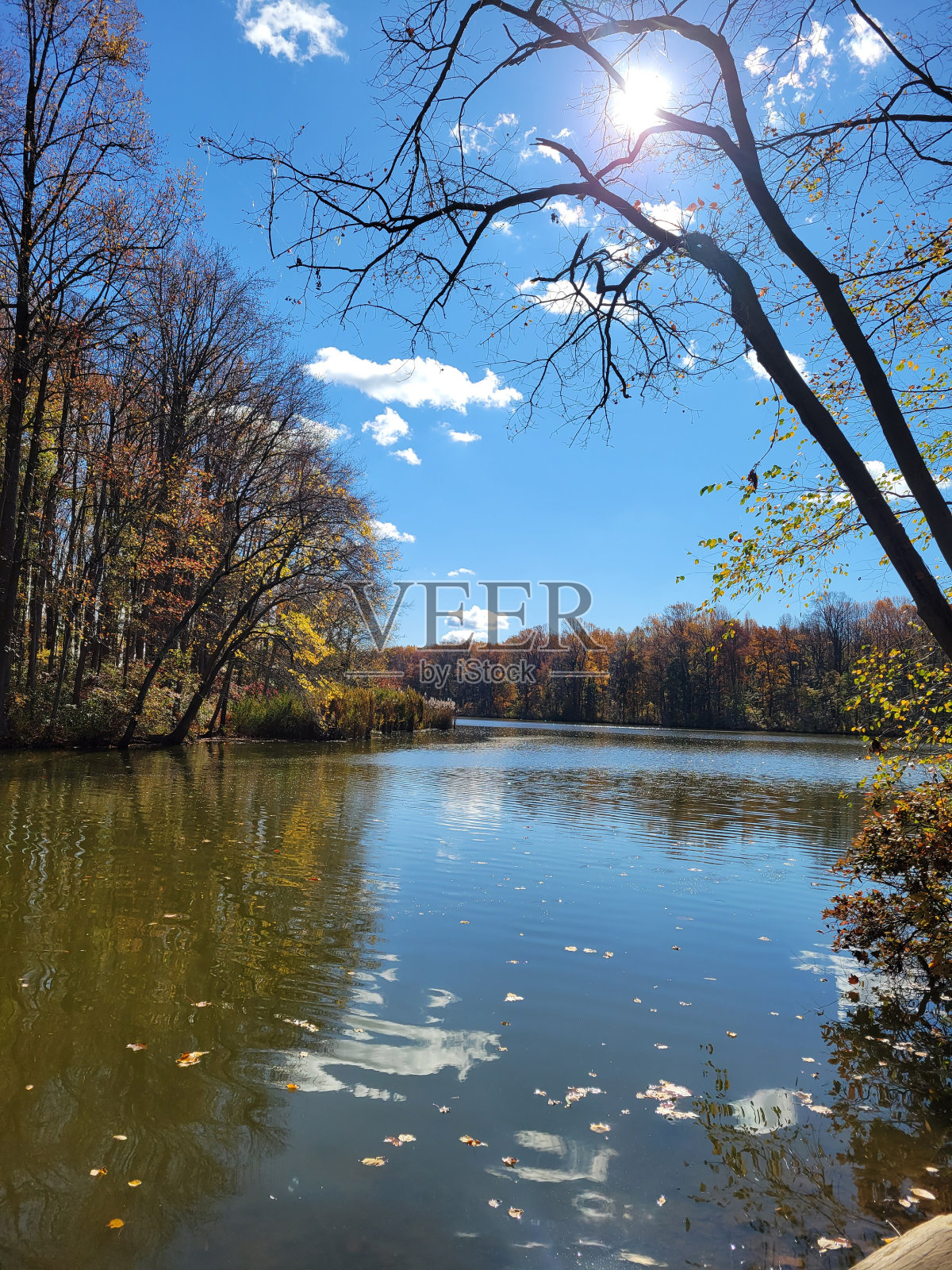 落在卢姆池塘照片摄影图片