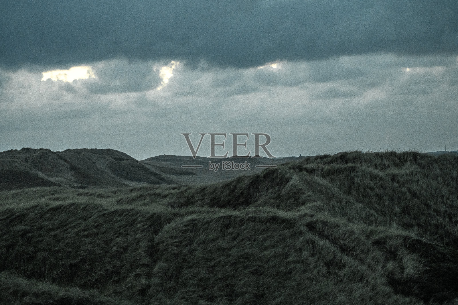 丹麦沙丘景观照片摄影图片