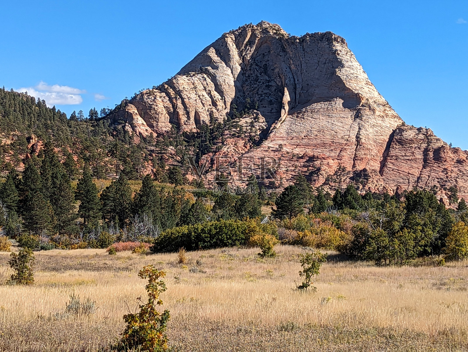 犹他州锡安国家公园Hop Valley Trailhead附近的Kolob Terrace Road沿线干燥的草地和红色的岩石悬崖照片摄影图片