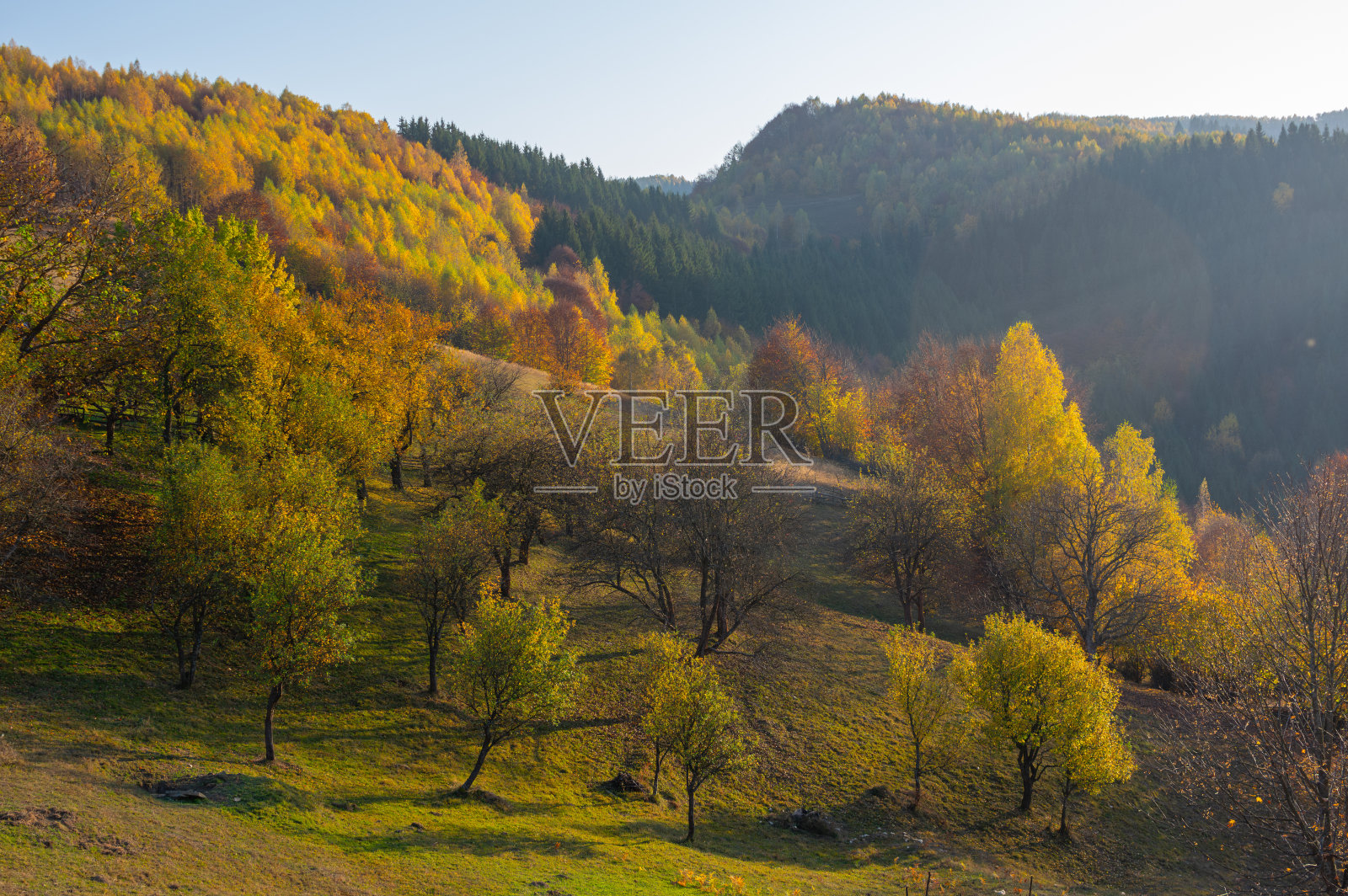 秋天的颜色照片摄影图片