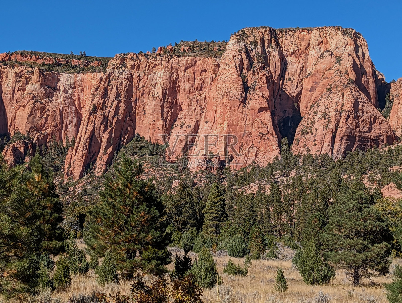 犹他州锡安国家公园Hop Valley Trailhead附近的Kolob Terrace Road沿线的干燥草地和红色岩石hoodoo照片摄影图片