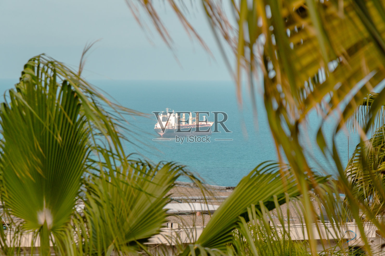 阿尔及尔湾地中海上的一艘货船照片摄影图片