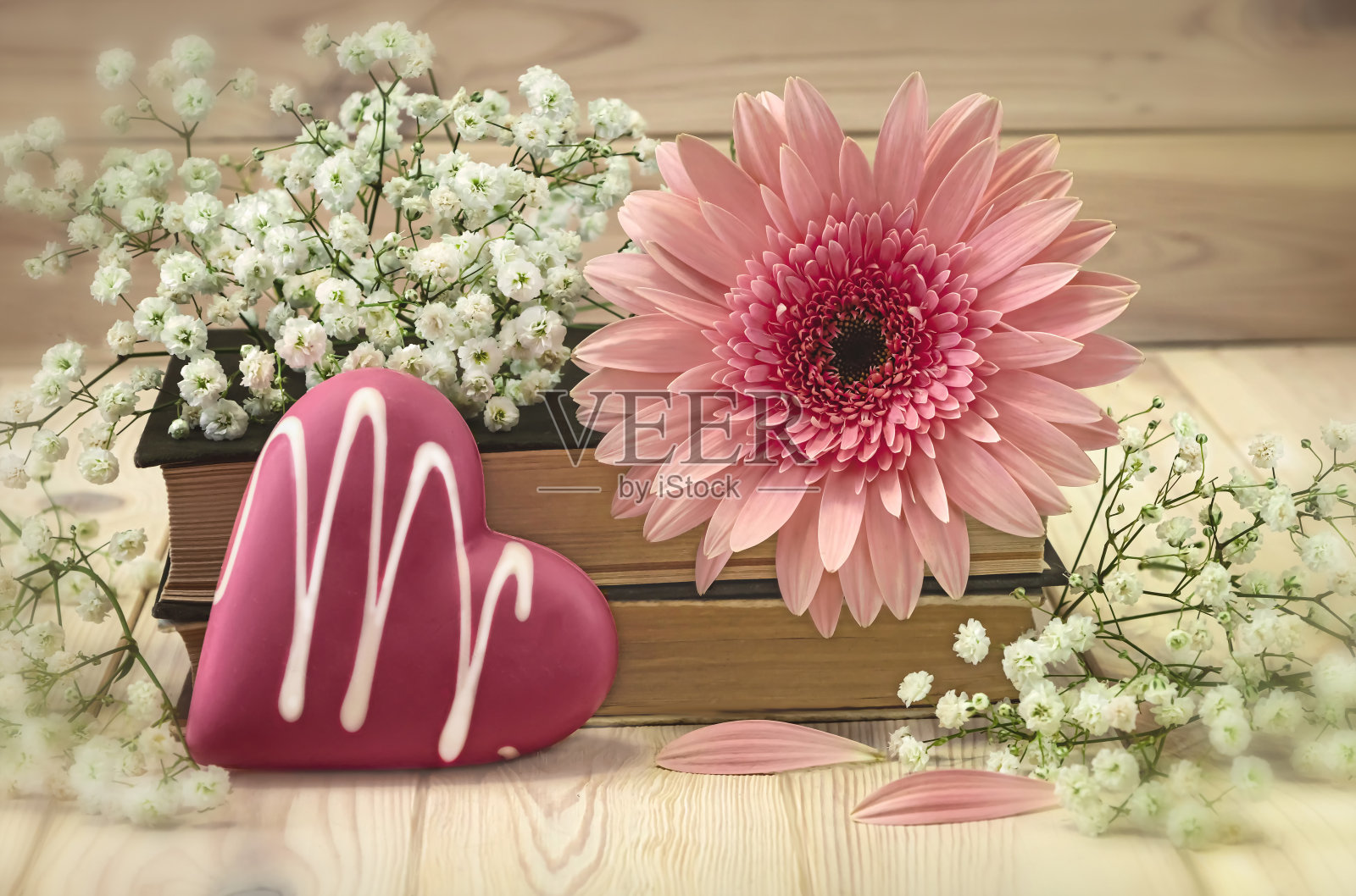 粉红色非洲菊花和心。情人节的概念。旧书和吉普赛花照片摄影图片