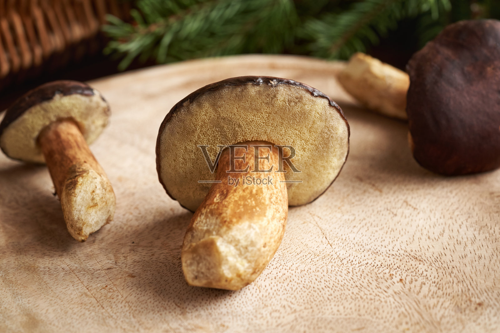 桌上的松茸——野生食用菌照片摄影图片