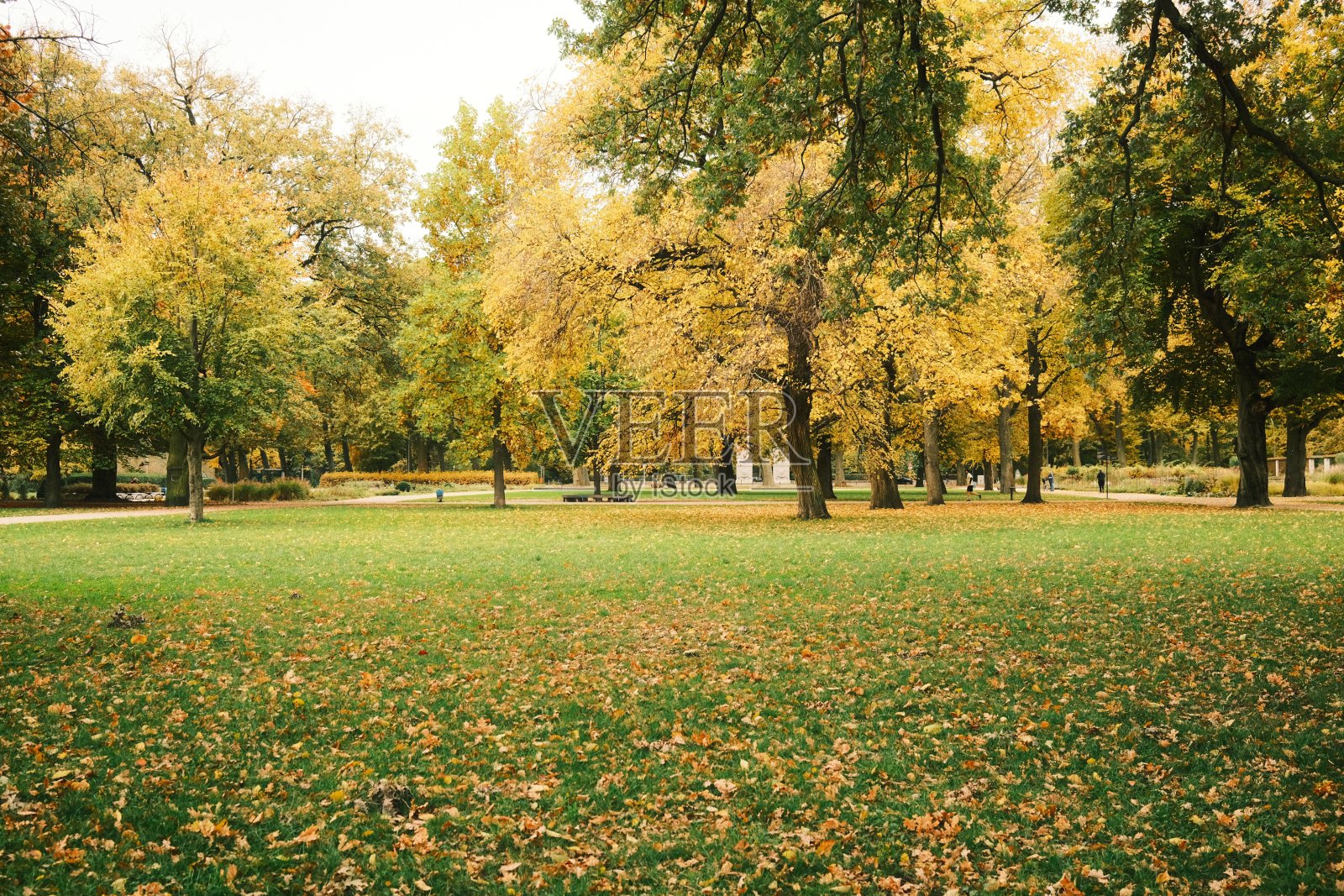 秋天的色彩，柏林公园和街道上五颜六色的树木和树叶照片摄影图片