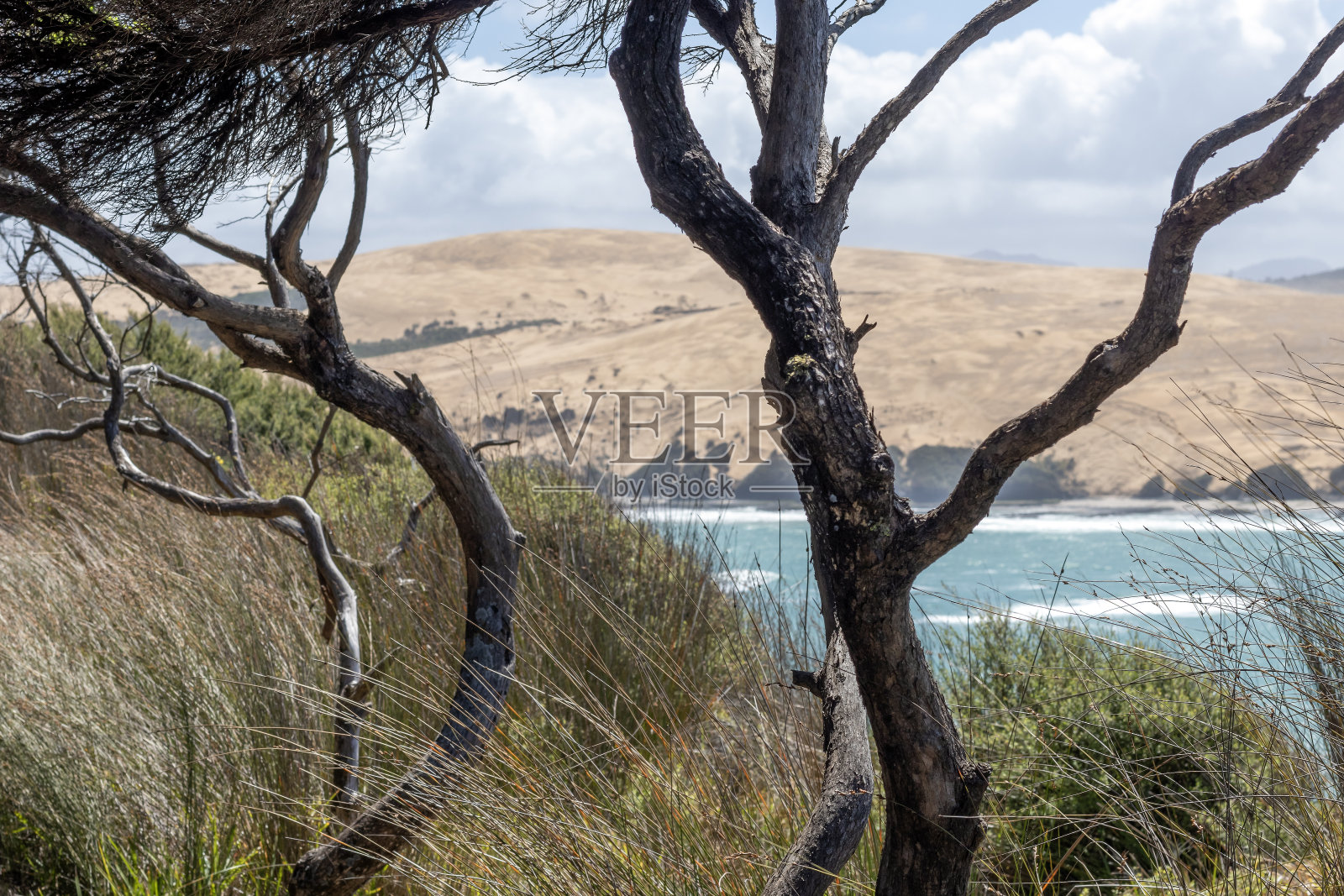 奥马佩雷:徒步信号站轨道与海岸景观的港口和海岸线，新西兰北国照片摄影图片