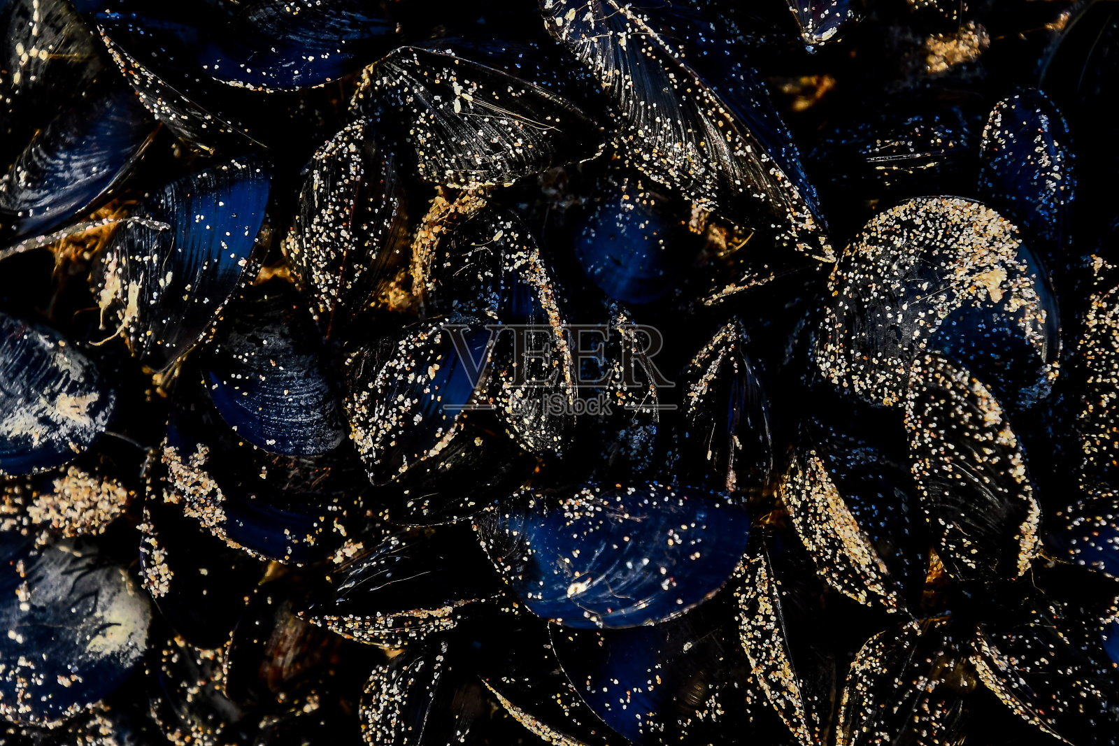 螃蟹在市场，数码照片图片为背景照片摄影图片