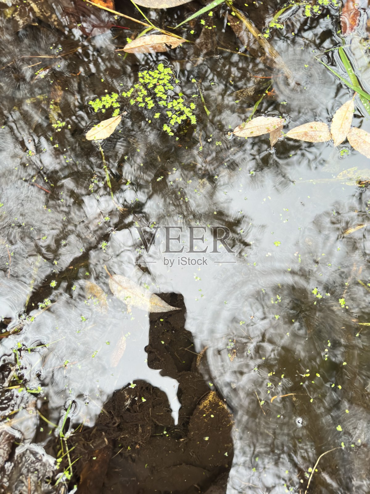 反射照片摄影图片