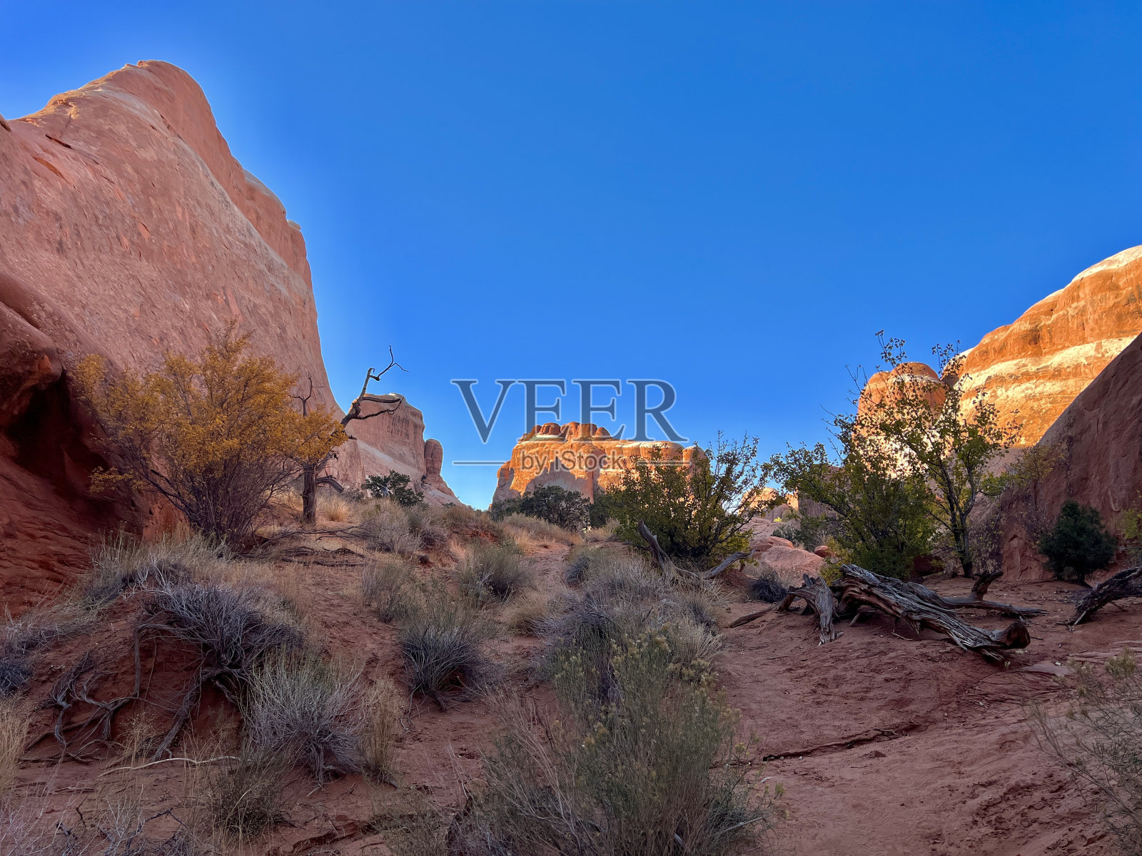 魔鬼花园，拱门国家公园，摩押，犹他州照片摄影图片