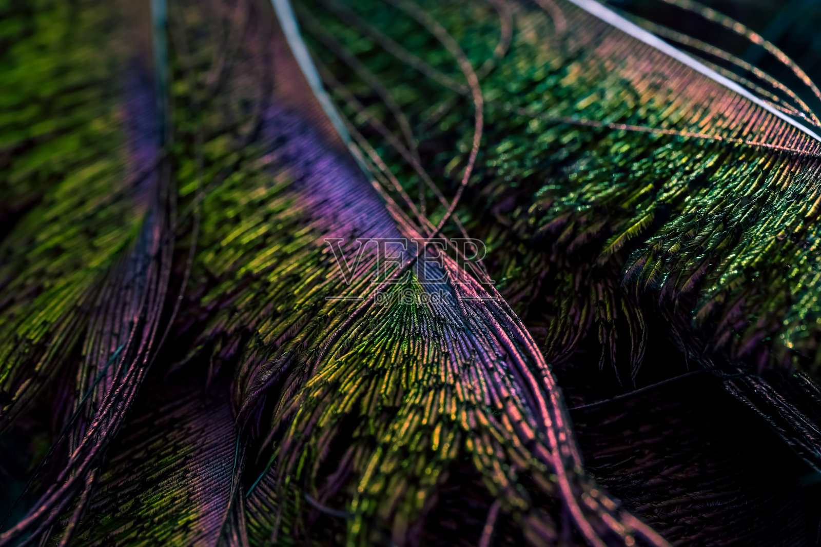 颜色。照片摄影图片