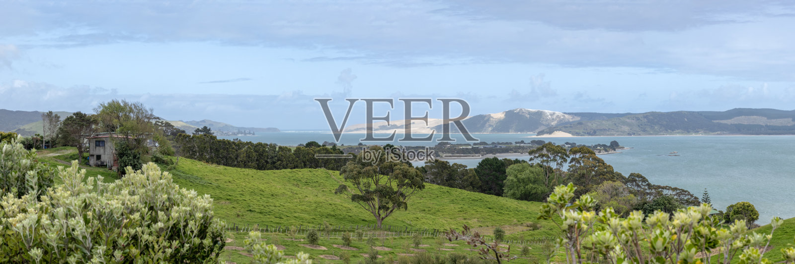 Orangotea湾令人惊叹的海岸风景北国，岛屿湾，新西兰，有选择性的焦点照片摄影图片