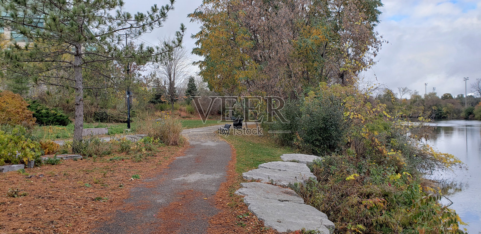 加拿大彼得伯勒的秋天照片摄影图片
