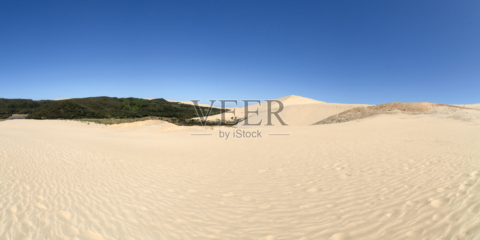 雷因加角标志性的巴基巨型沙丘:新西兰北部的自然奇观和旅游景点照片摄影图片