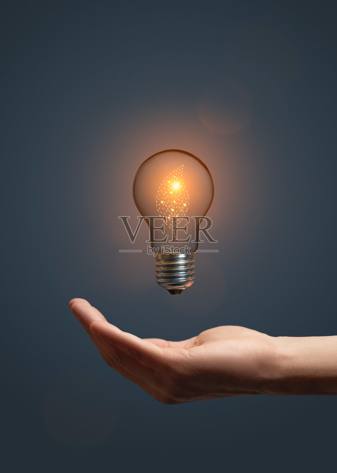 人工智能灯泡上的叶子符号照片摄影图片