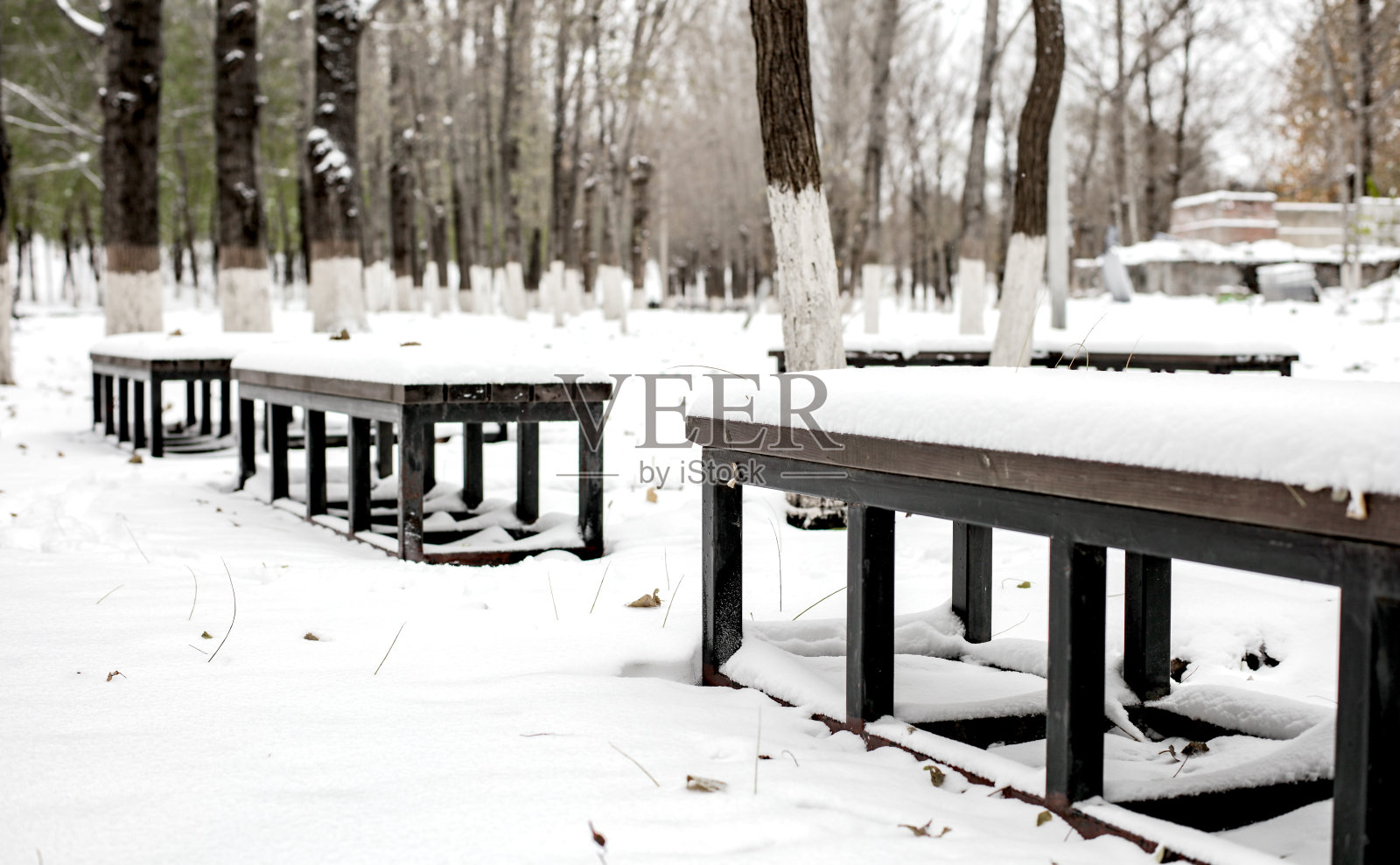 冬雪过后，树林里被雪覆盖的椅子照片摄影图片