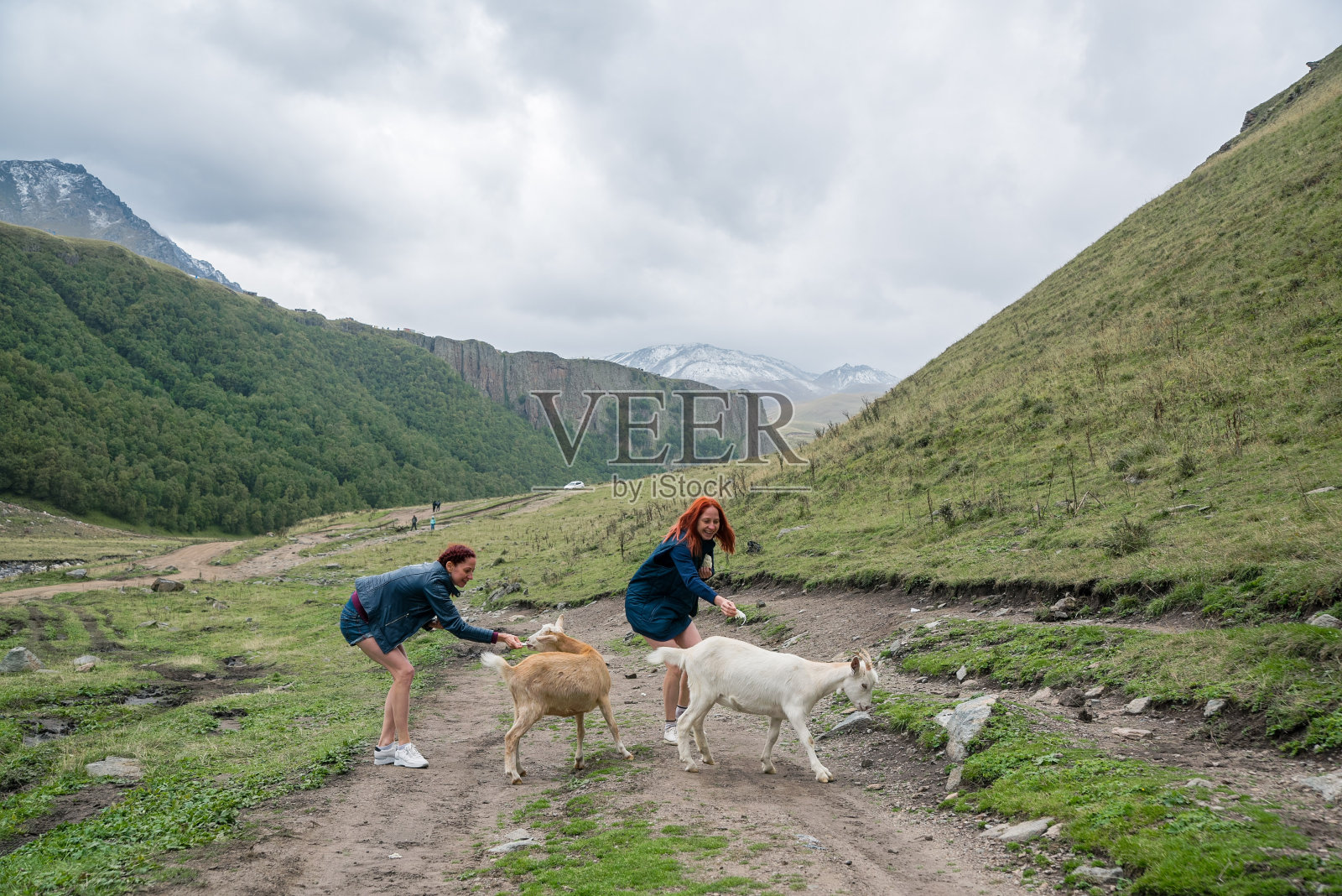 高加索山区，女孩们在喂山羊照片摄影图片