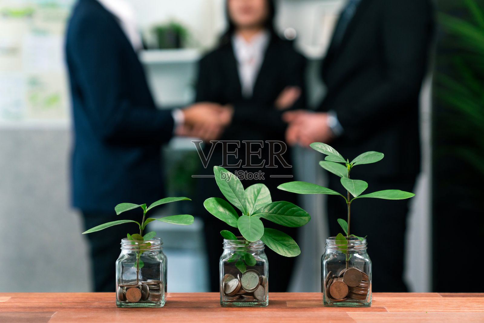 有机货币增长投资理念，以节省资金硬币和植物。古雅的照片摄影图片