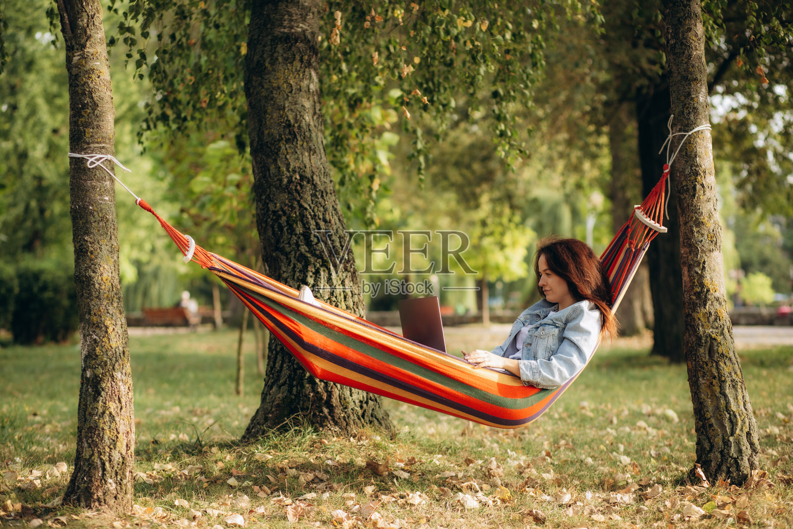 一名女子躺在公园的吊床上，用笔记本电脑远程工作照片摄影图片