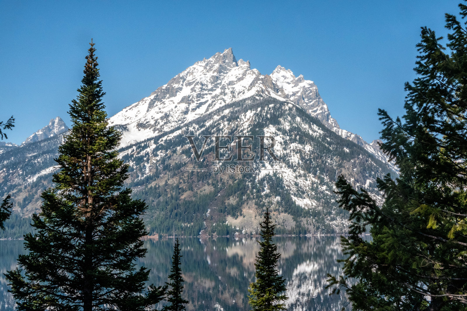 在大提顿国家公园的清晨照片摄影图片