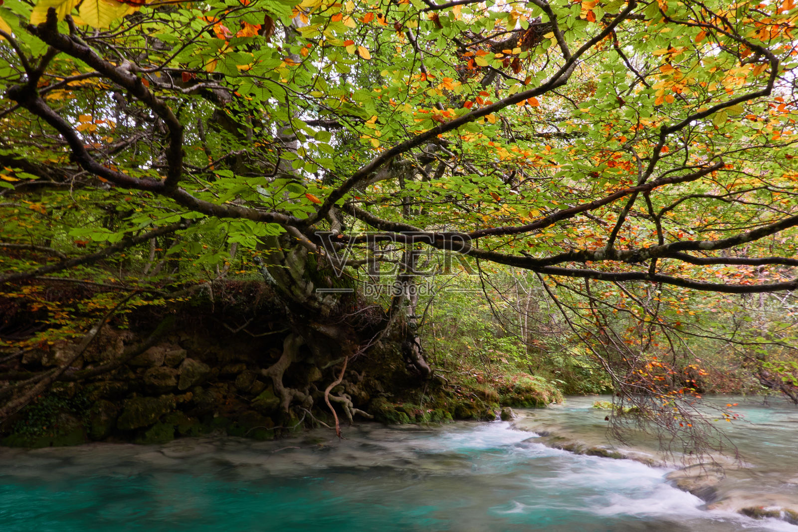 瀑布和清澈、蓝色、绿松石和绿色的水，以及塞拉Urbasa-Andía上秋天的山毛榉森林。纳瓦拉。西班牙照片摄影图片