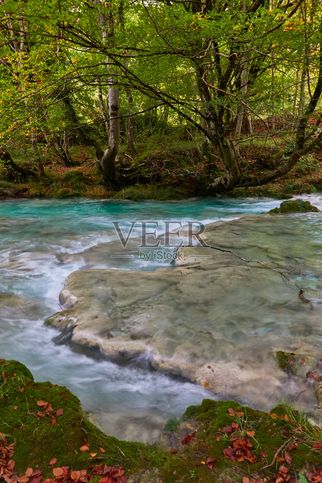 瀑布和清澈、蓝色、绿松石和绿色的水，以及塞拉Urbasa-Andía上秋天的山毛榉森林。纳瓦拉。西班牙照片摄影图片