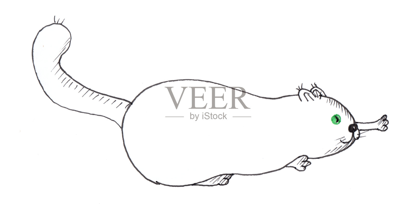 有趣的猫插画图片素材