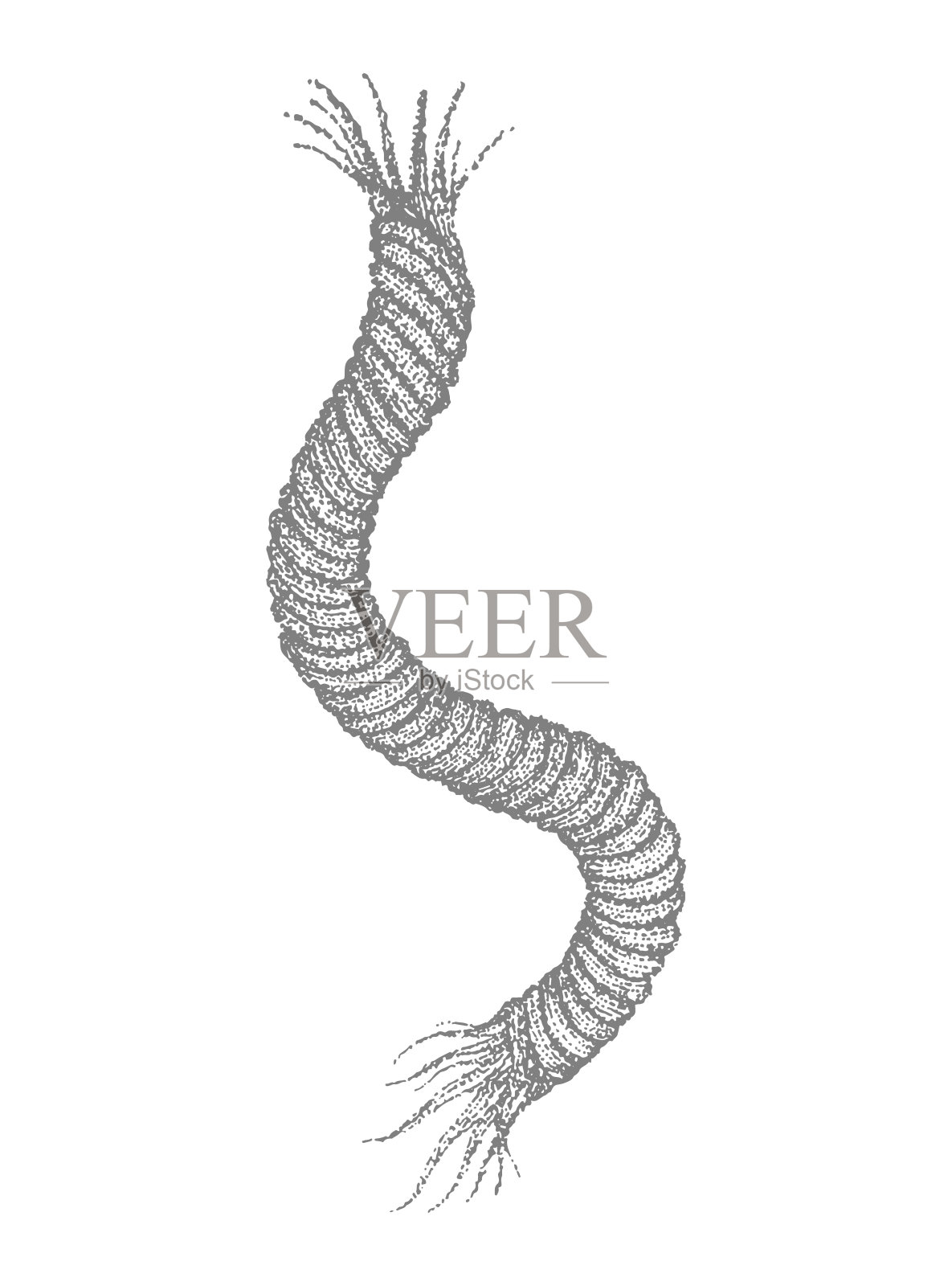 绳，电缆，线，点画风格素描，黑白矢量插图孤立，纹身贴纸，打印插画图片素材