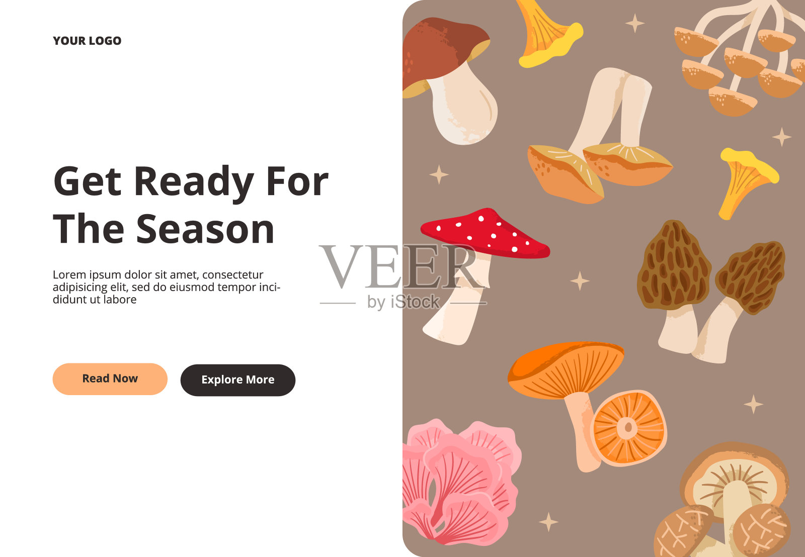 可食用和有毒的蘑菇。森林里的蘑菇季节。矢量卡通插图的登陆页，和网页横幅。插画图片素材