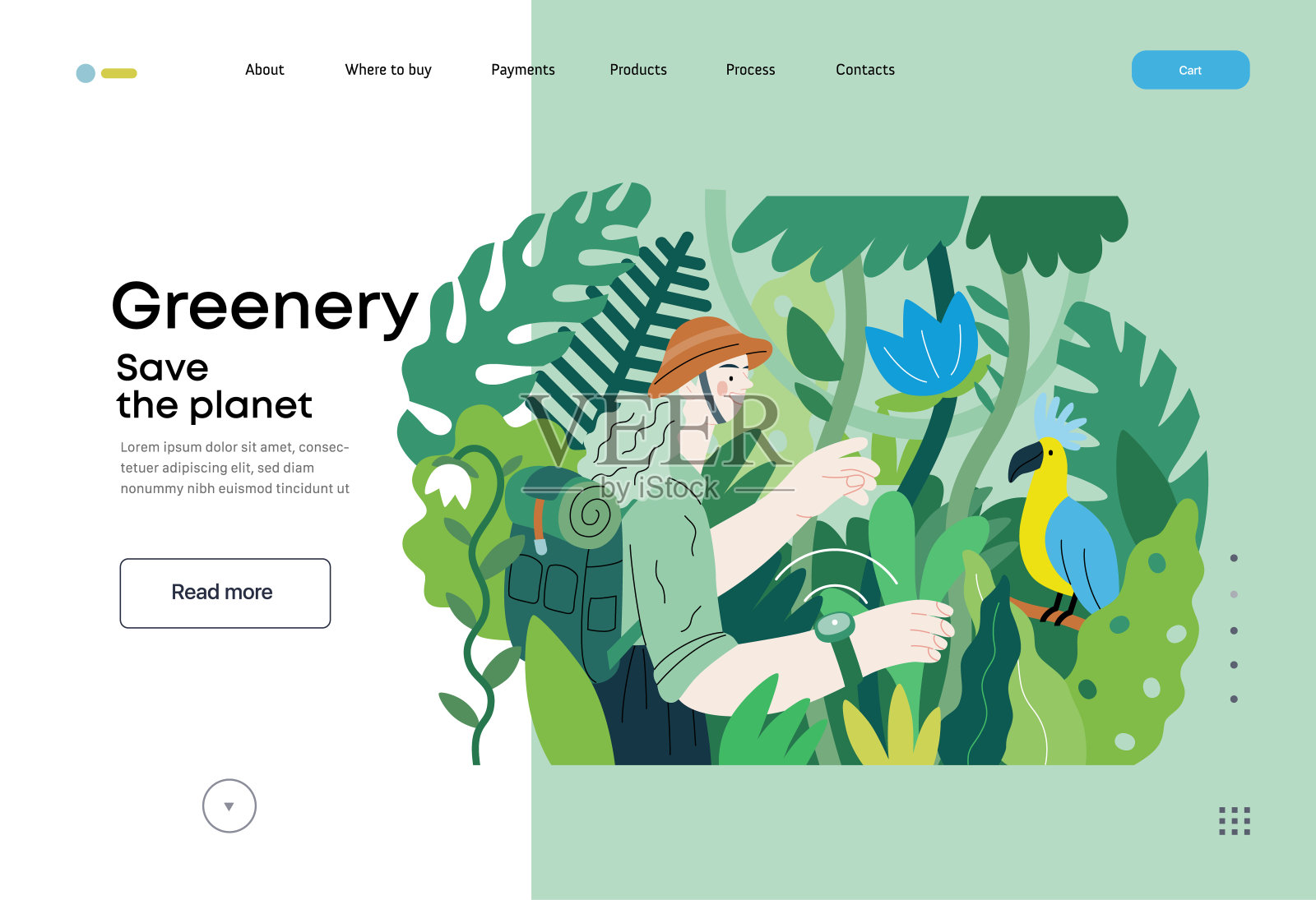 绿色植物，生态平面矢量插图插画图片素材