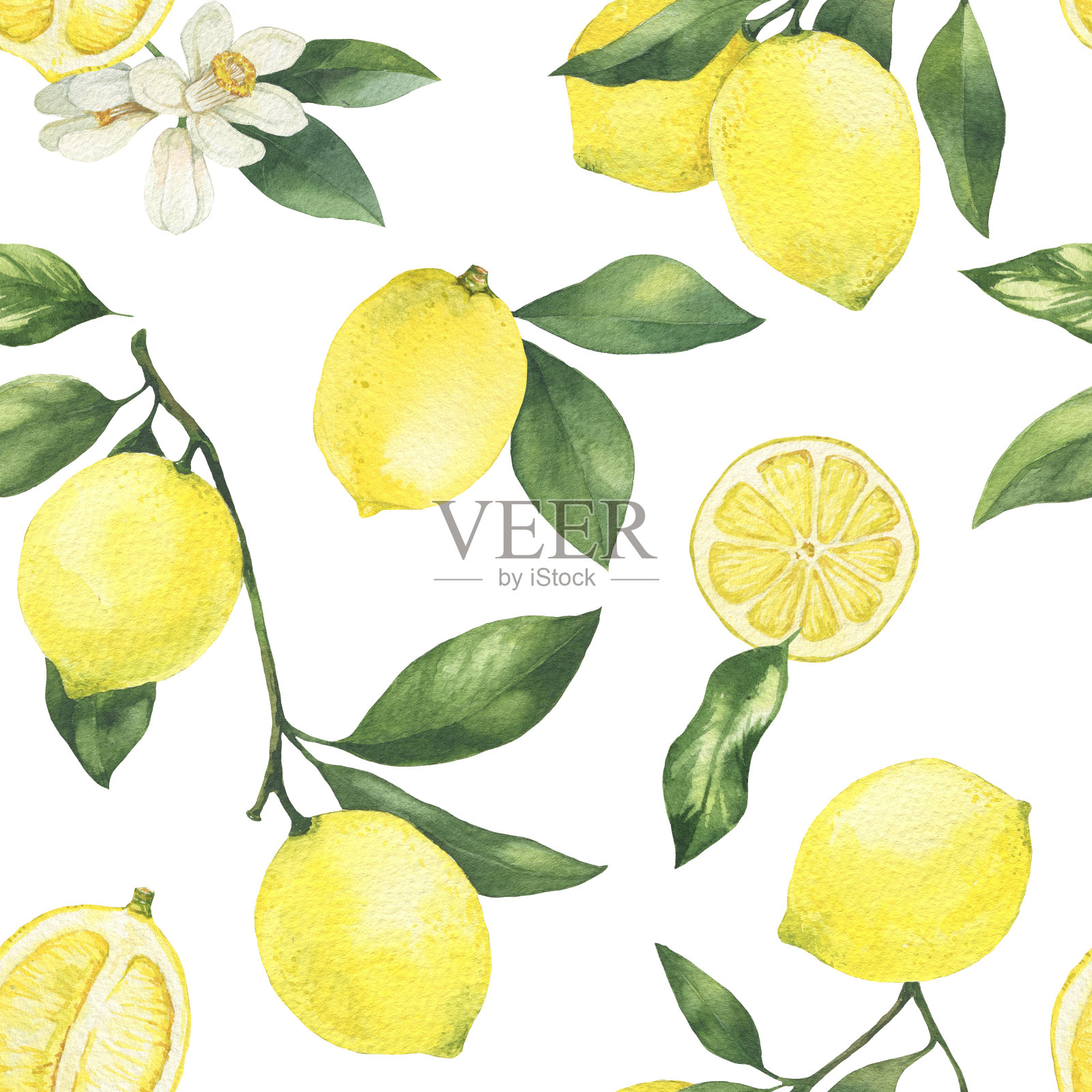 手绘水彩柠檬插图。柠檬，花朵和叶子的无缝图案。用于纺织、包装、装饰、请柬。插画图片素材